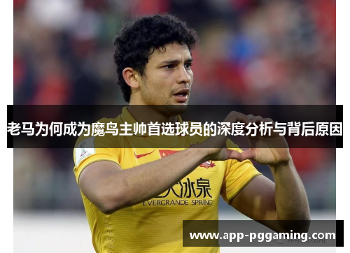 老马为何成为魔鸟主帅首选球员的深度分析与背后原因