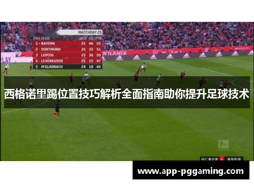 西格诺里踢位置技巧解析全面指南助你提升足球技术