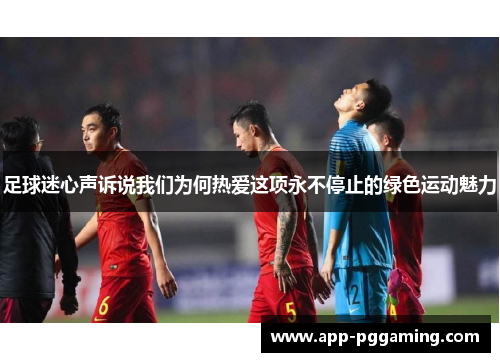 足球迷心声诉说我们为何热爱这项永不停止的绿色运动魅力