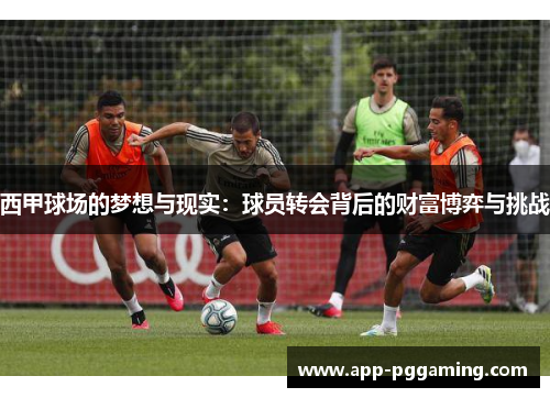 西甲球场的梦想与现实：球员转会背后的财富博弈与挑战