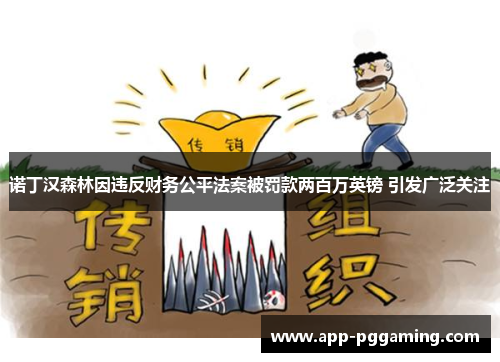 诺丁汉森林因违反财务公平法案被罚款两百万英镑 引发广泛关注