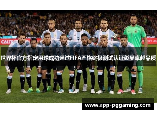 世界杯官方指定用球成功通过FIFA严格终极测试认证彰显卓越品质