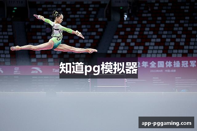 知道pg模拟器